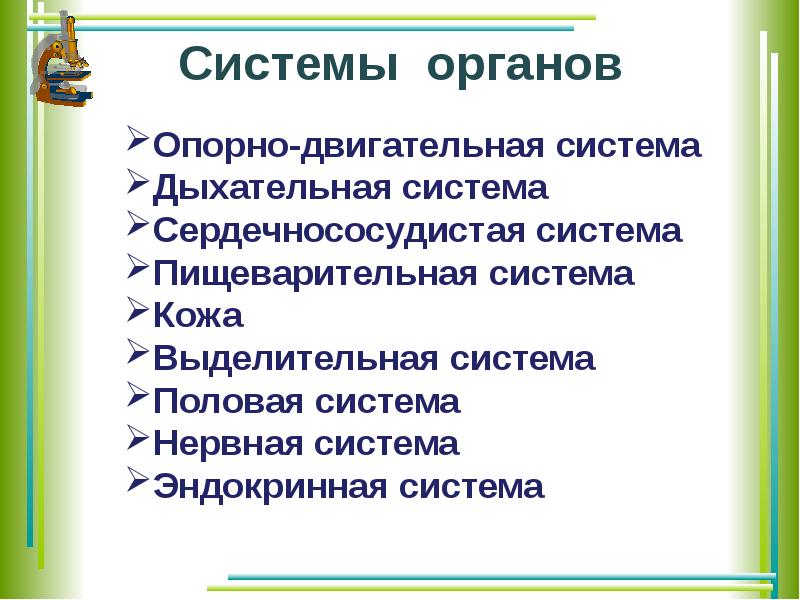 Общий обзор. Общий обзор организма. Общий обзор организма человека 8 класс презентация. Общий обзор организма 8 класс. Общий обзор организма человека кратко.