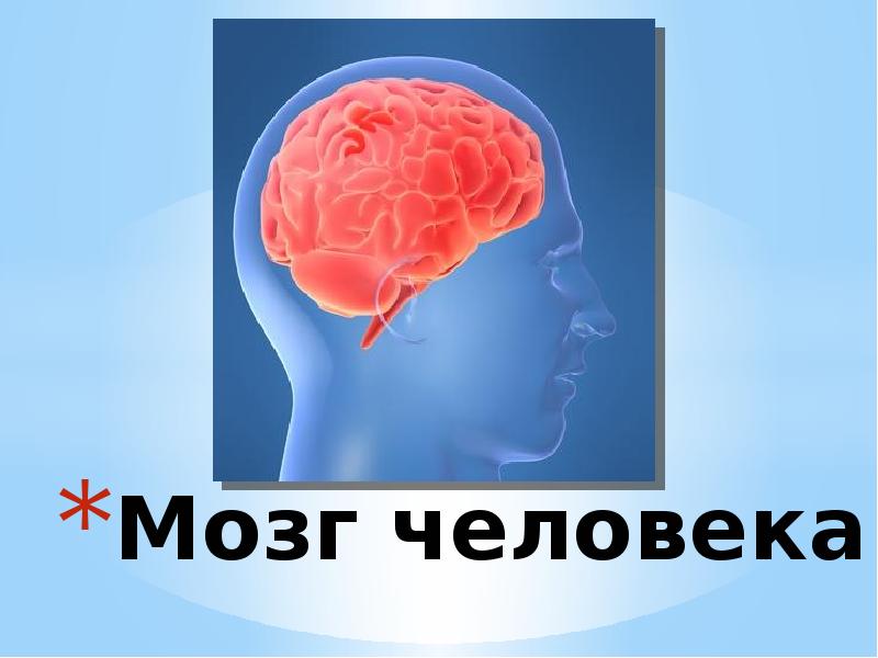 Мозга теме. Мозг человека для презентации. Мозг человека презентация 3 класс. Презентация мозг человека начальные классы. Доклад про мозг человека 3 класс.