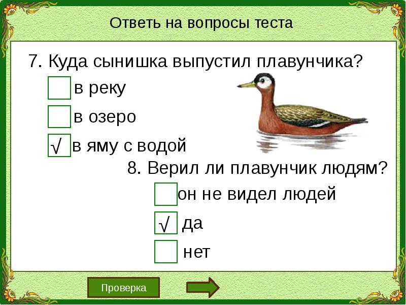 Бианки плавунчик презентация