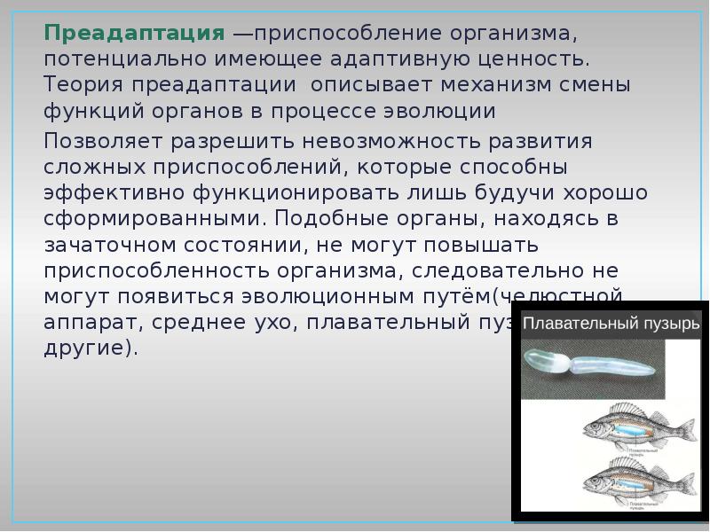 Развитие приспособлений. Преадаптация. Преадаптация примеры. Преадаптации в эволюции. Формирование приспособлений в процессе эволюции.