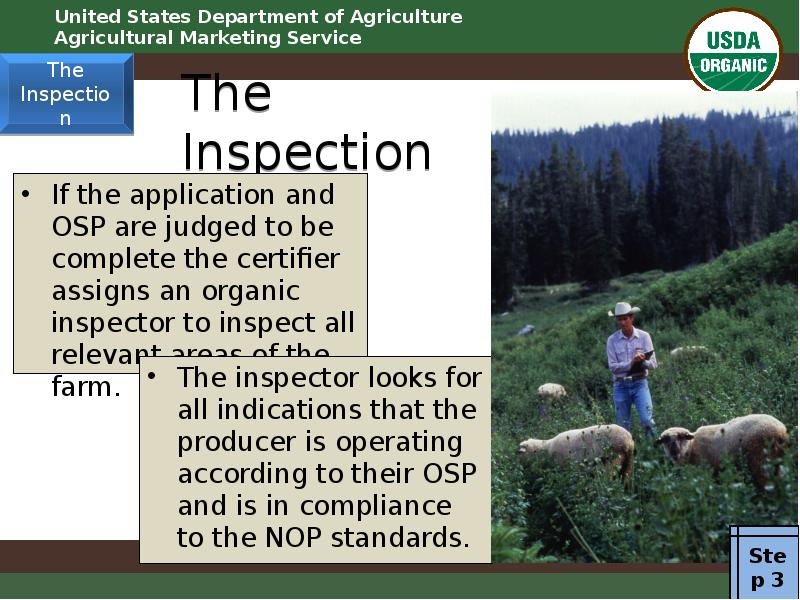 The Inspection If the application and OSP are judged to be