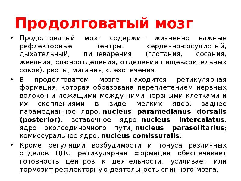 Продолговатый мозг Продолговатый мозг содержит жизненно важные рефлекторные центры: сердечно-сосудистый, дыхательный,