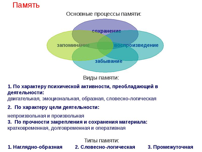 Виды памяти презентация по психологии