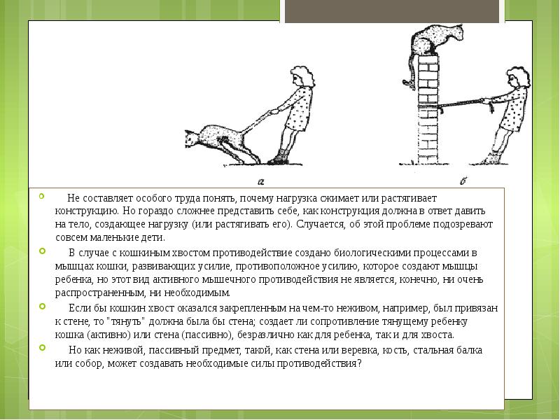 Расжал или разжал