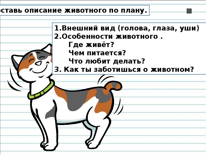 План о животном. Описание животного по плану. Описание животных по плану. Опишите животное по плану. План описания питомца.