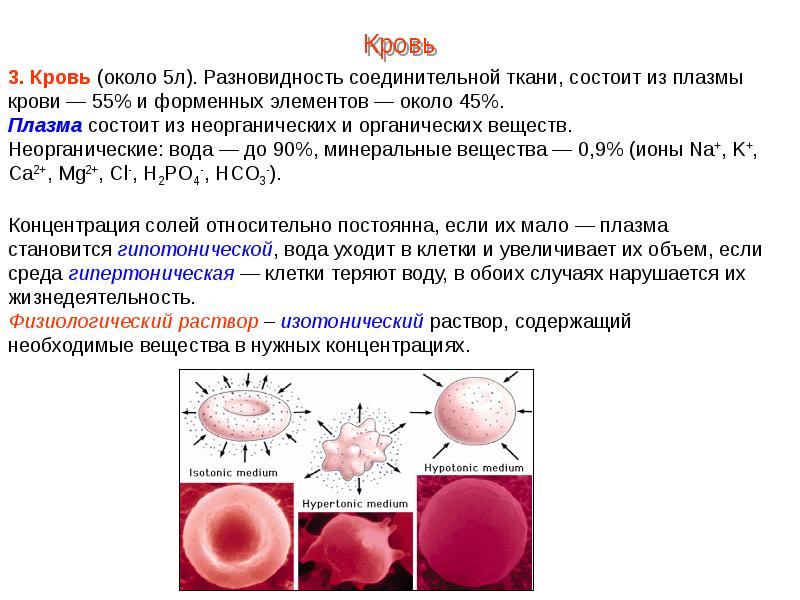 Функция плазмы крови человека. Соотношение плазмы крови и форменных элементов крови. Плазма крови строение и функции. Соединительная ткань кровь форменных элементов. Строение плазмы крови человека.
