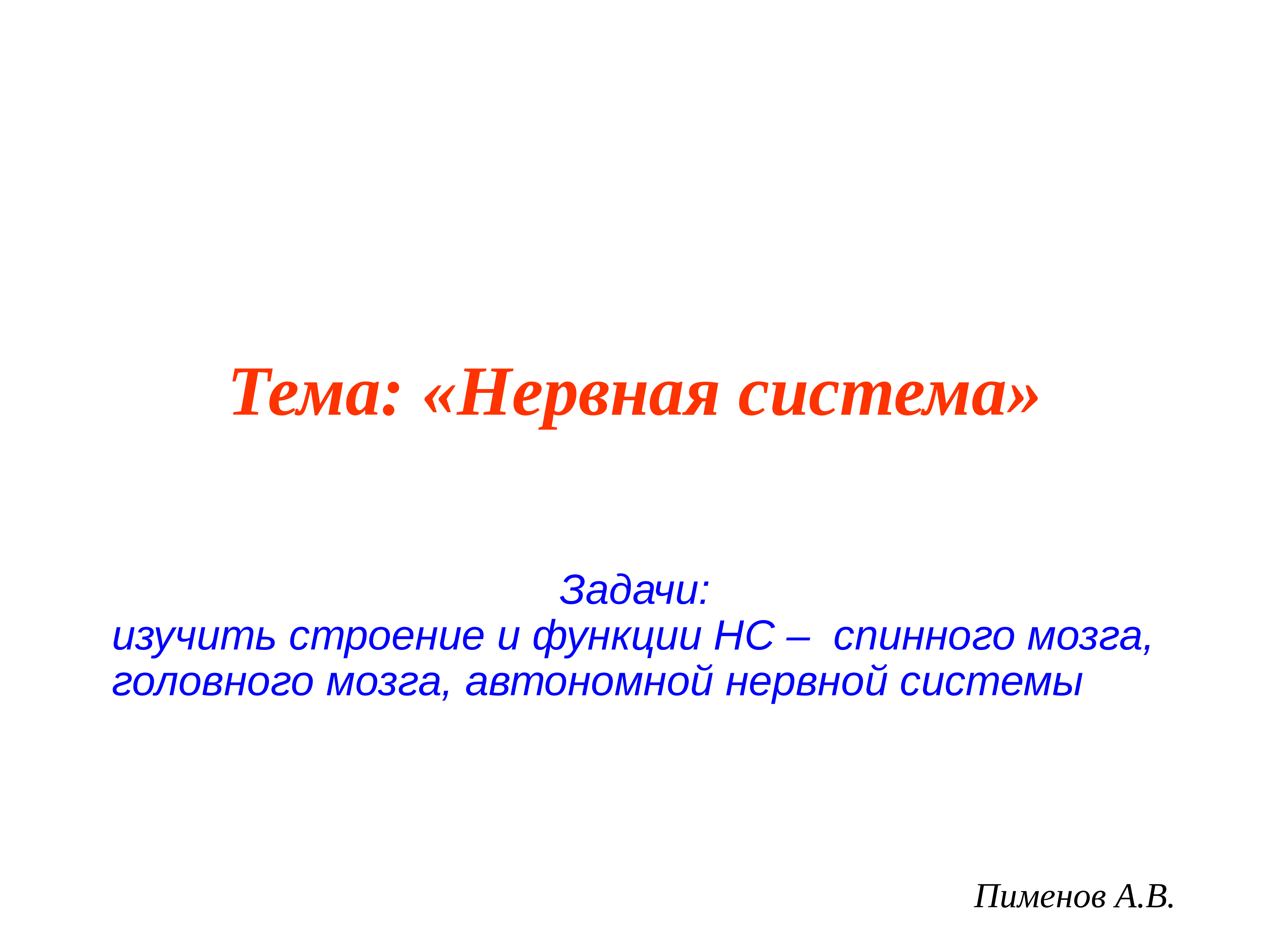 Нервная система человека презентация пименов