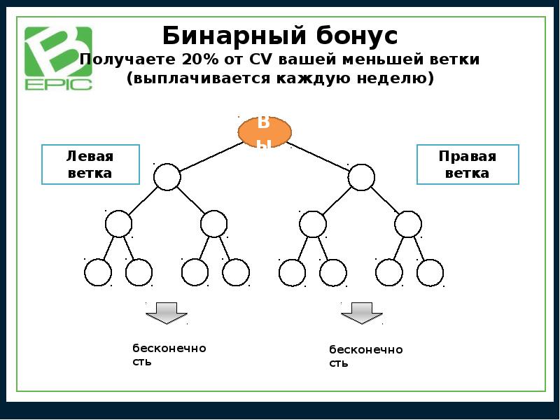 Бинарный бизнес план