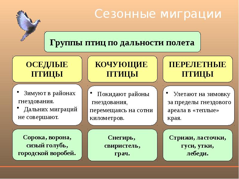 Птицы подготовка к егэ презентация