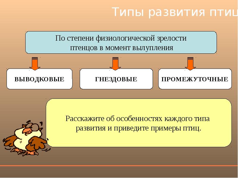 Используя рисунок 164 найдите черты отличия выводковых и гнездовых птиц