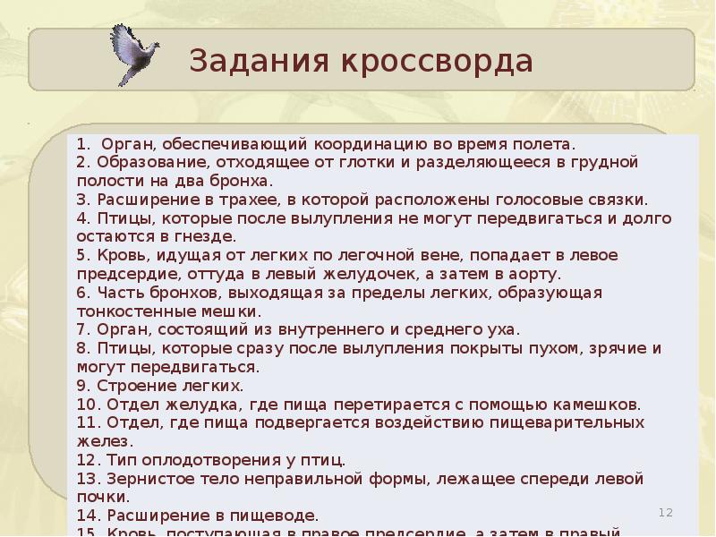 Значение и охрана птиц происхождение птиц презентация 7 класс