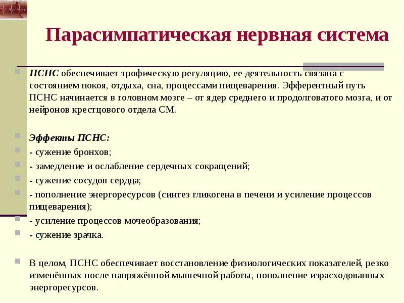 Биохимические основы работоспособности презентация