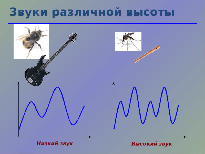 Звук высокий средний низкий. Низкий звук. Высокочастотные звуки примеры. Высокие и низкие звуки. Звуки высокие средние низкие.