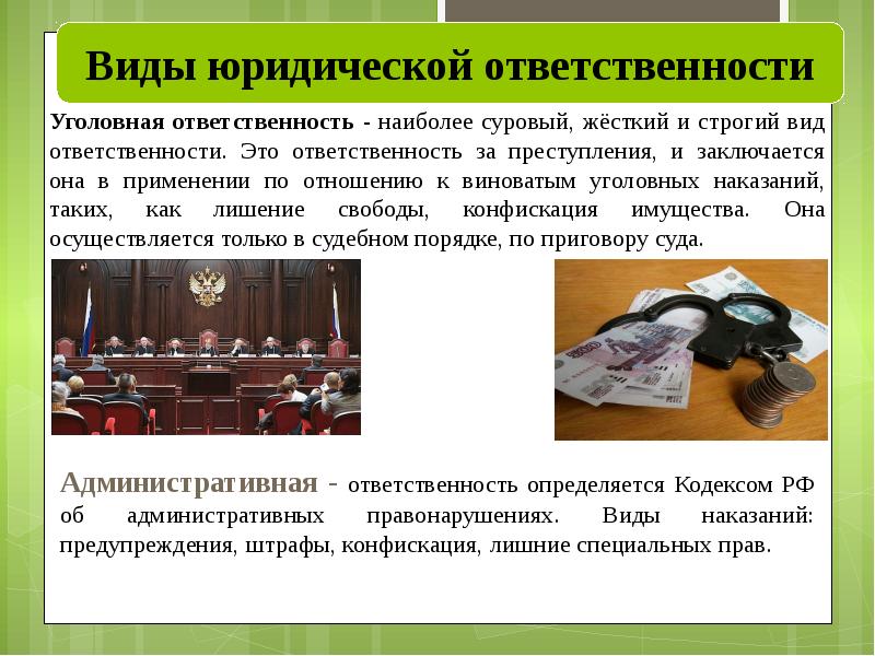 Уголовное правонарушение презентация