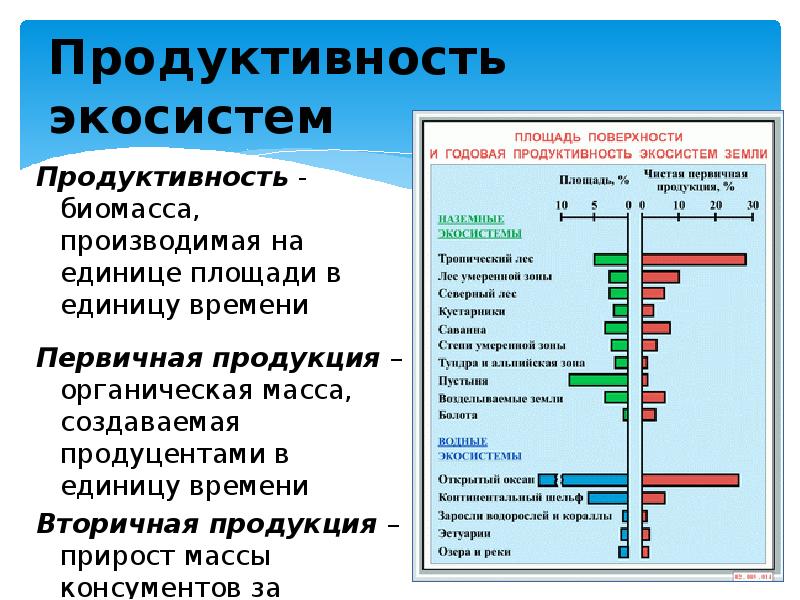 Увеличение биологической продуктивности природных зон. Первичная продуктивность экосистемы. Функционирование экосистем. Первичная и вторичная продуктивность. Биологическая продуктивность экосистем.