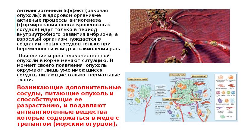 Контролируемая доставка факторов ангиогенеза презентация