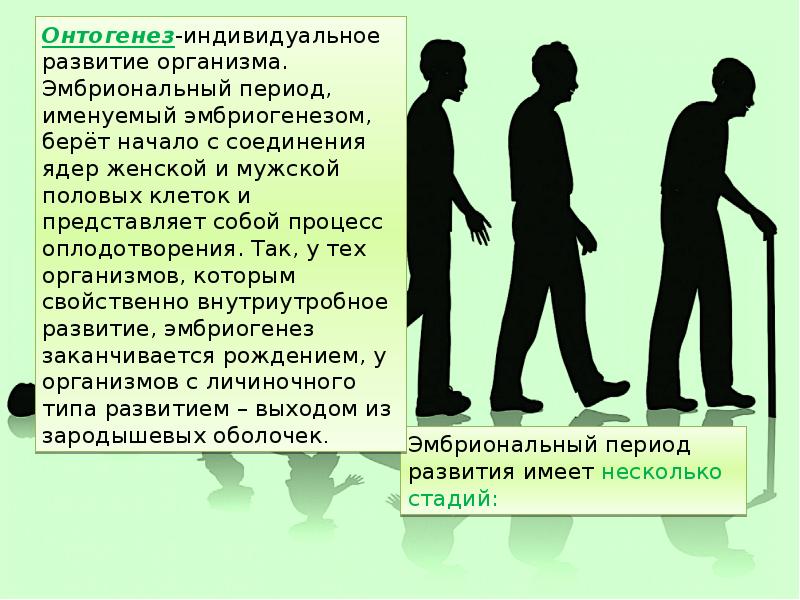 Индивидуальный развитие организма человека. Причины нарушений в развитии организмов. Индивидуальное развитие организма.