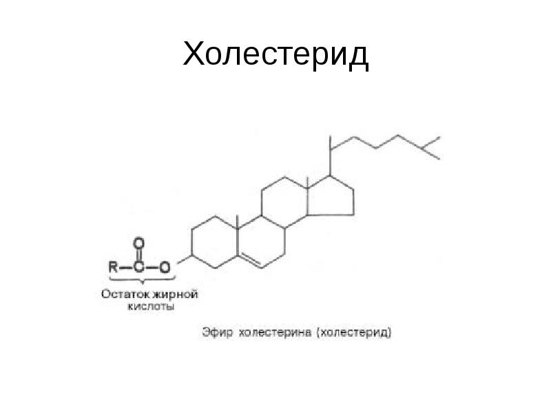 Пальмитиновая кислота презентация