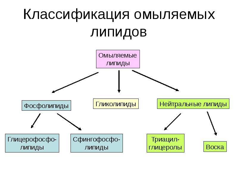 Омыляемые липиды это. Классификация омыляемых липидов. Простые и сложные омыляемые липиды. Омыляемые липиды строение. Классификация липидов фосфолипиды.