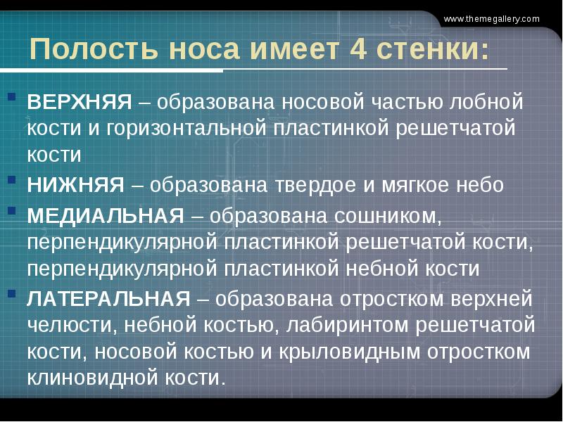 Полость носа имеет 4 стенки