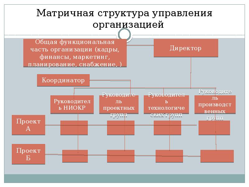 Управление предприятием. Структура управления организацией. Основные структуры управления организацией. Структура управления компании управленческ. Органическая матричная структура.