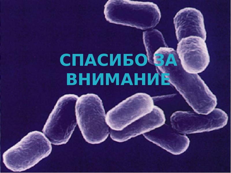 СПАСИБО ЗА ВНИМАНИЕ СПАСИБО ЗА ВНИМАНИЕ