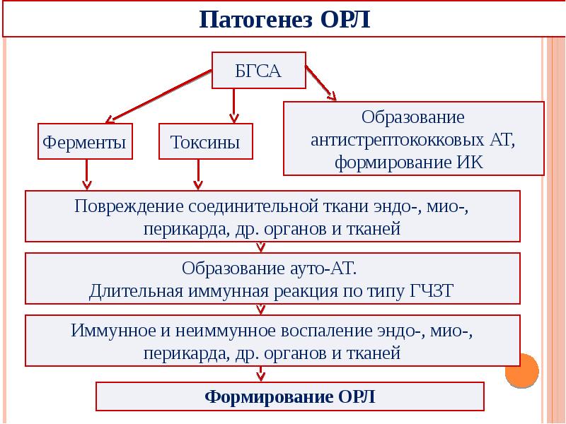 Этиология острой ревматической лихорадки