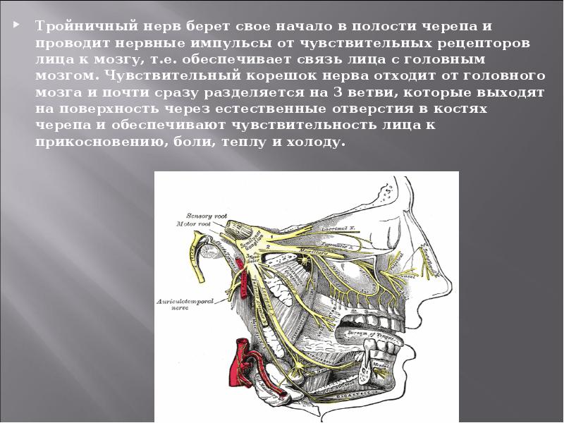 Лицевые боли презентация