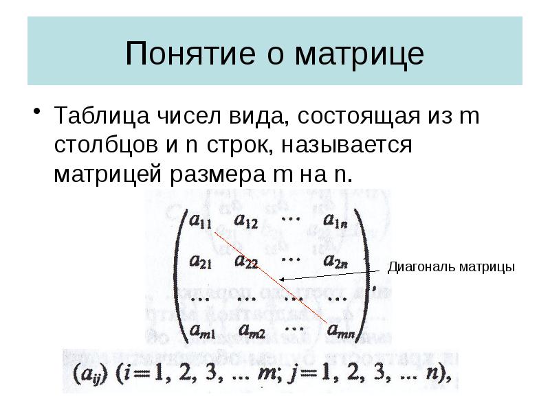 Виды матриц презентация