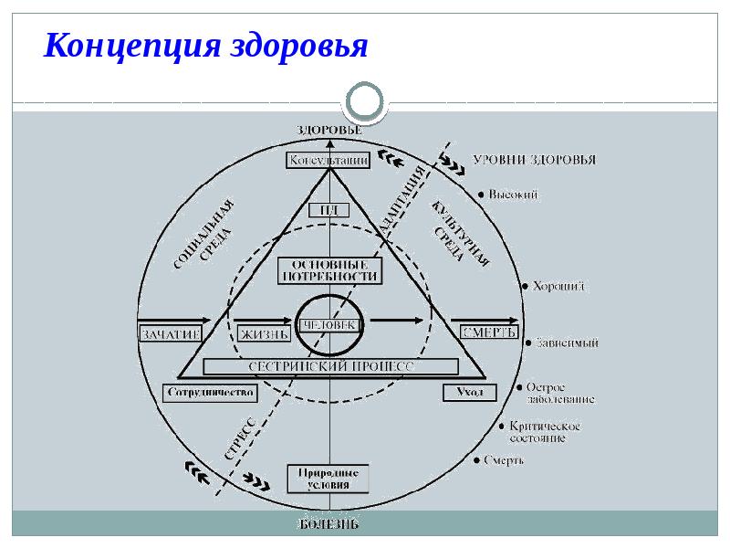 Философия сестринского дела презентация