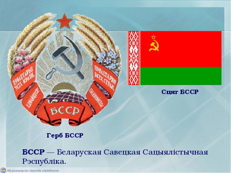 Проект флага бсср