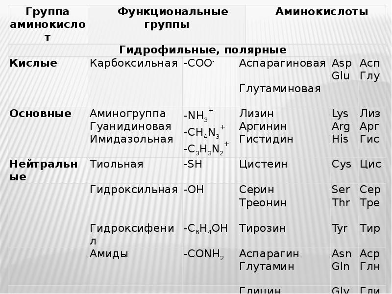 Аминокислоты пептиды белки презентация