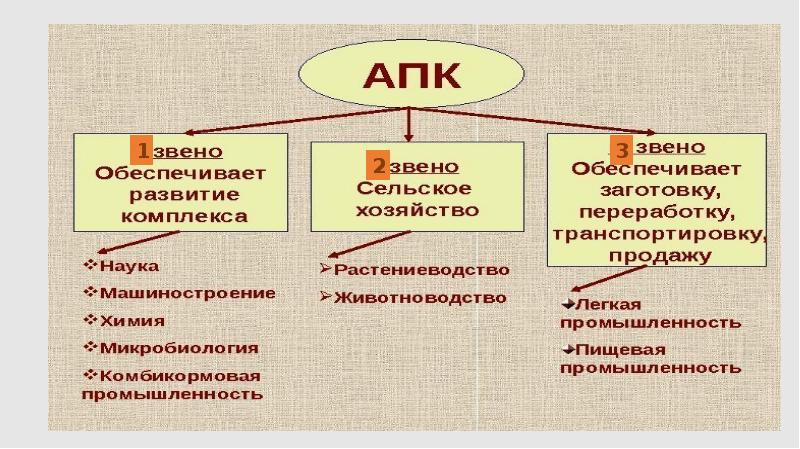 Развитие хозяйства 8 класс полярная звезда презентация