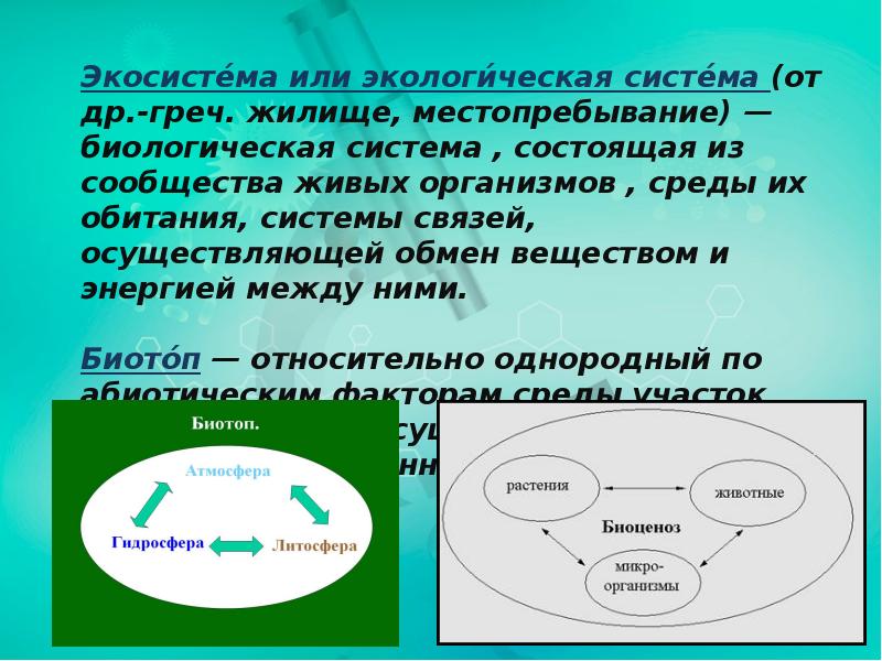 Экосистемное разнообразие презентация