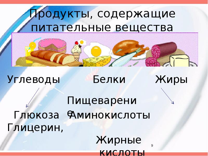 Какие продукты содержат жиры белки