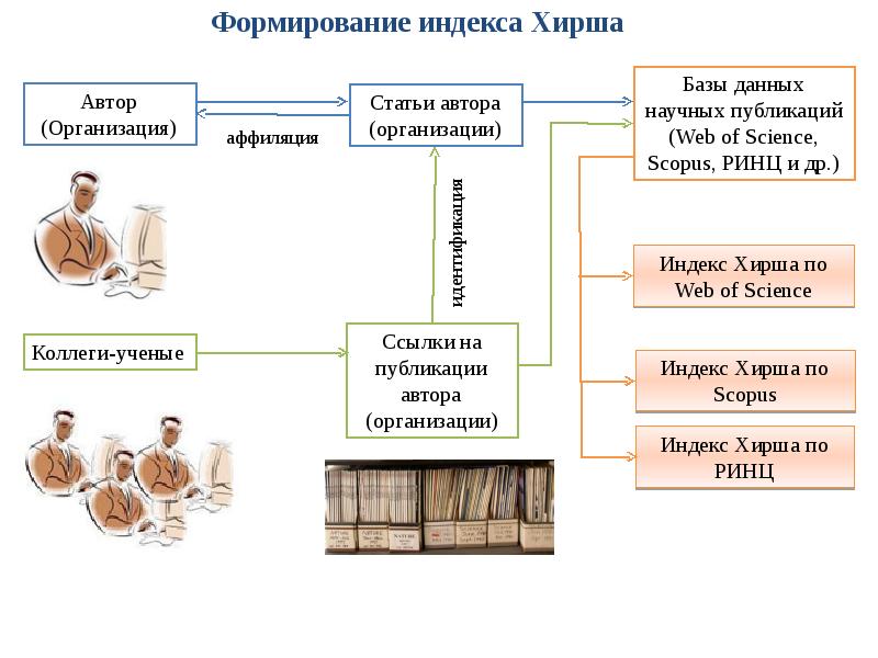 Развитие научная статья. Базы данных научных публикаций. База данных научных статей. Наукометрические базы данных. Наукометрия классификация.