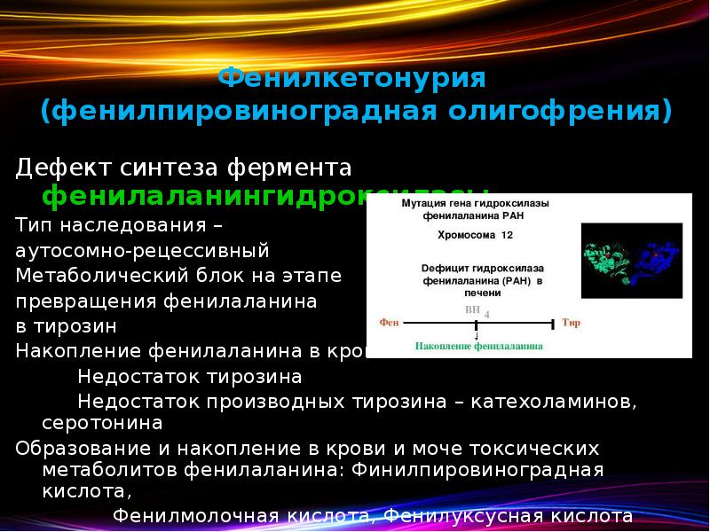 Фенилкетонурия  (фенилпировиноградная олигофрения) Дефект синтеза фермента фенилаланингидроксилазы Тип наследования –