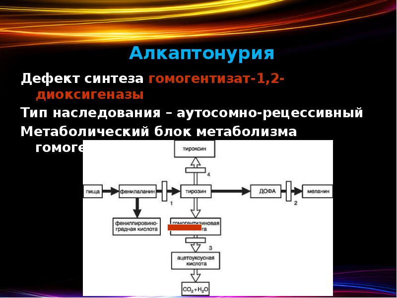 Алкаптонурия Дефект синтеза гомогентизат-1,2-диоксигеназы Тип наследования – аутосомно-рецессивный Метаболический блок метаболизма