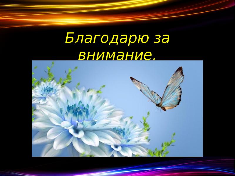 Благодарю за внимание.