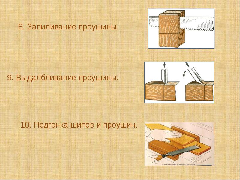 Презентация по технологии 7 класс