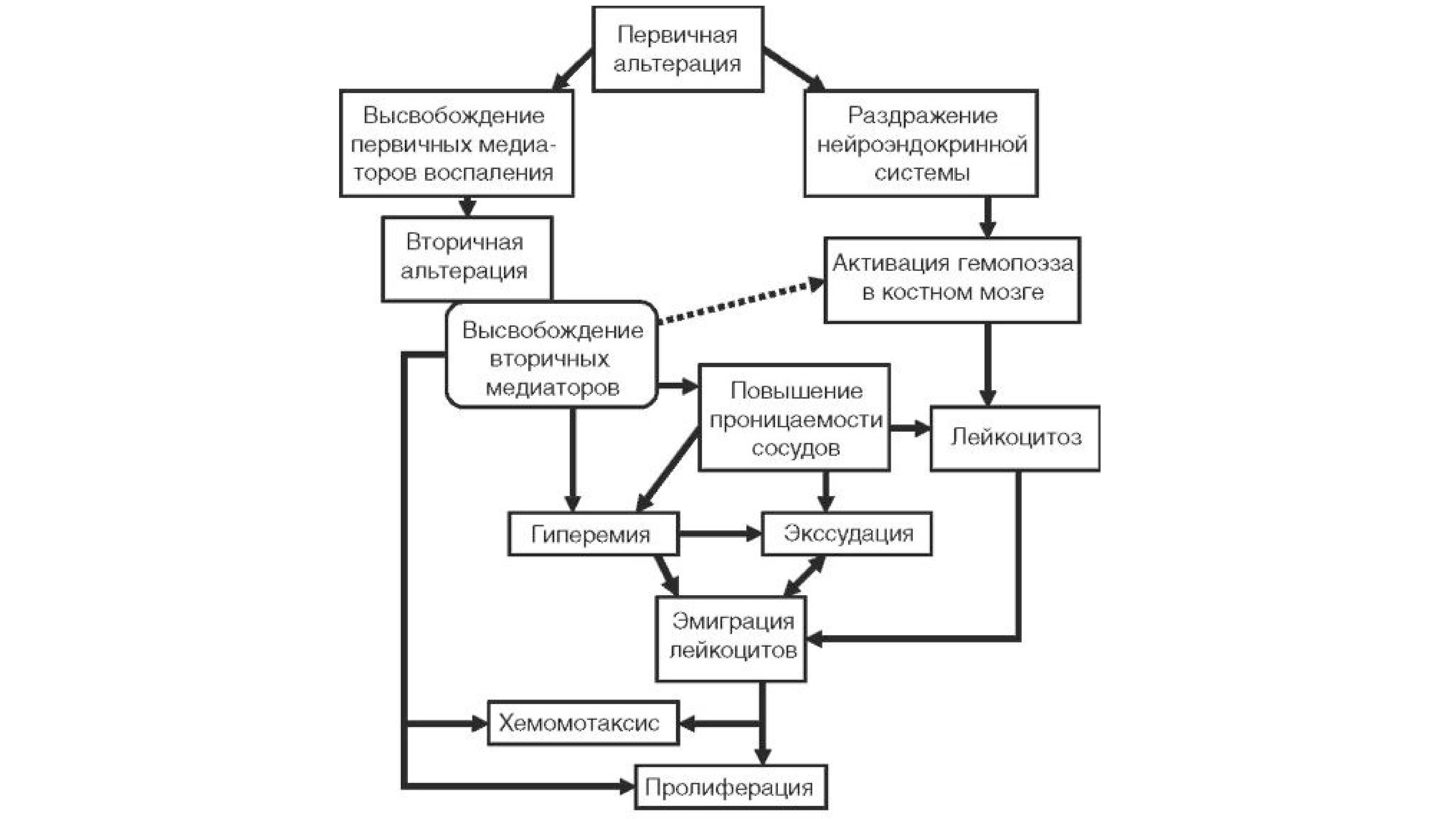 Патогенез воспаления схема