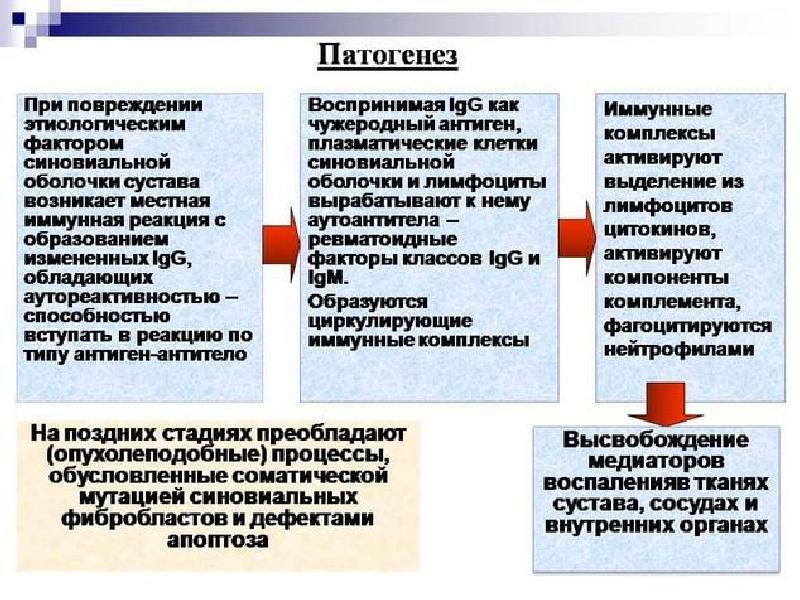 Патогенез ревматоидного артрита схема