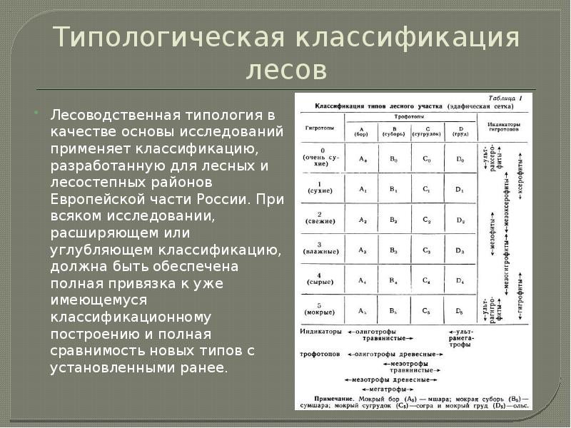 Типология леса презентация