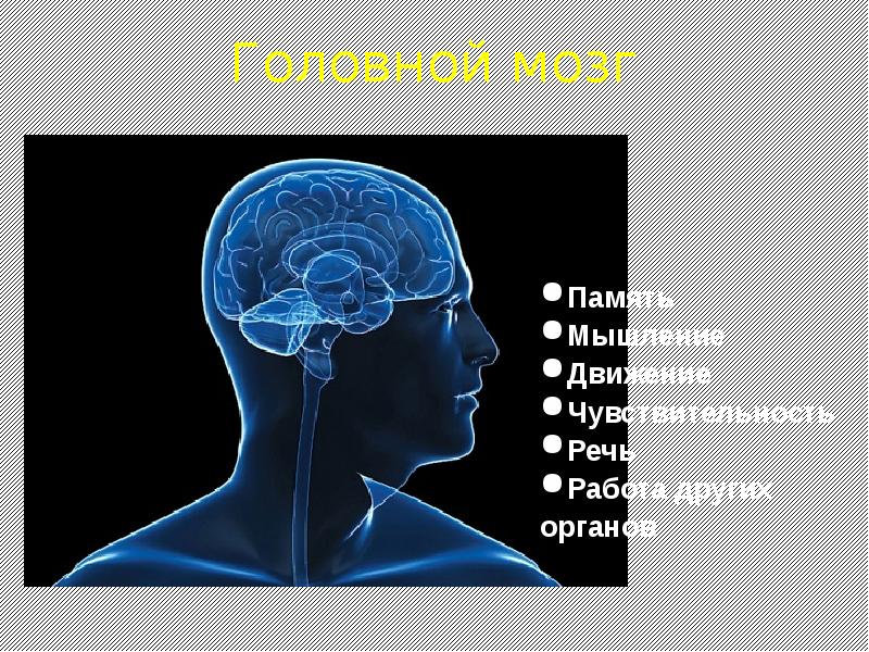 Инсульт презентация 8 класс