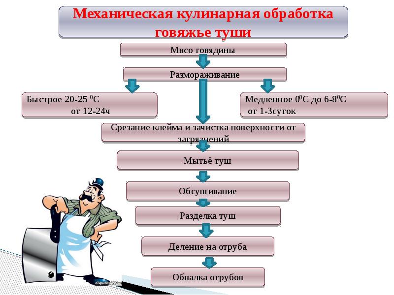 схема механической кулинарной обработки мяса. технологическая схема обработки мороженного мяса. мясо говядина. механическая обработка говядины. схема приготовления крупнокусковых мясных полуфабрикатов.