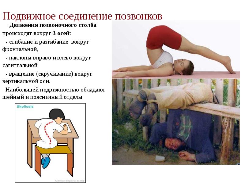 Подвижное соединение позвонков  Движения позвоночного столба происходят вокруг 3 осей: