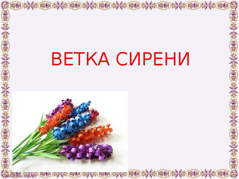 Ветка сирени презентация изо