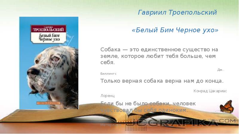 Презентация моя любимая книга белый бим черное ухо