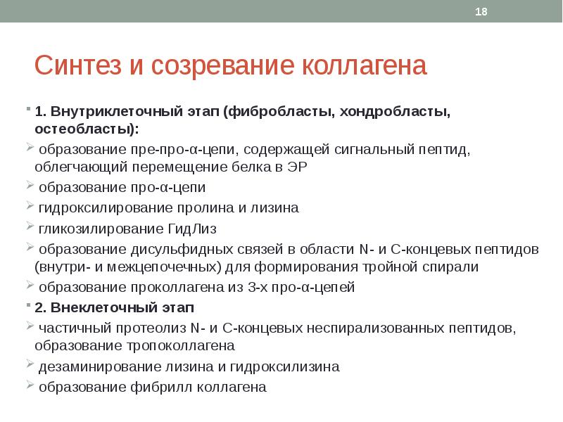 Синтез коллагена презентация