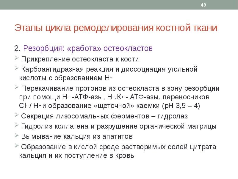 Этапы цикла. Гормональный контроль процессов ремоделирования костной ткани. Стадии ремоделирования кости. Этапы ремоделирования костной ткани. Этапы ремоделирования костной ткани биохимия.